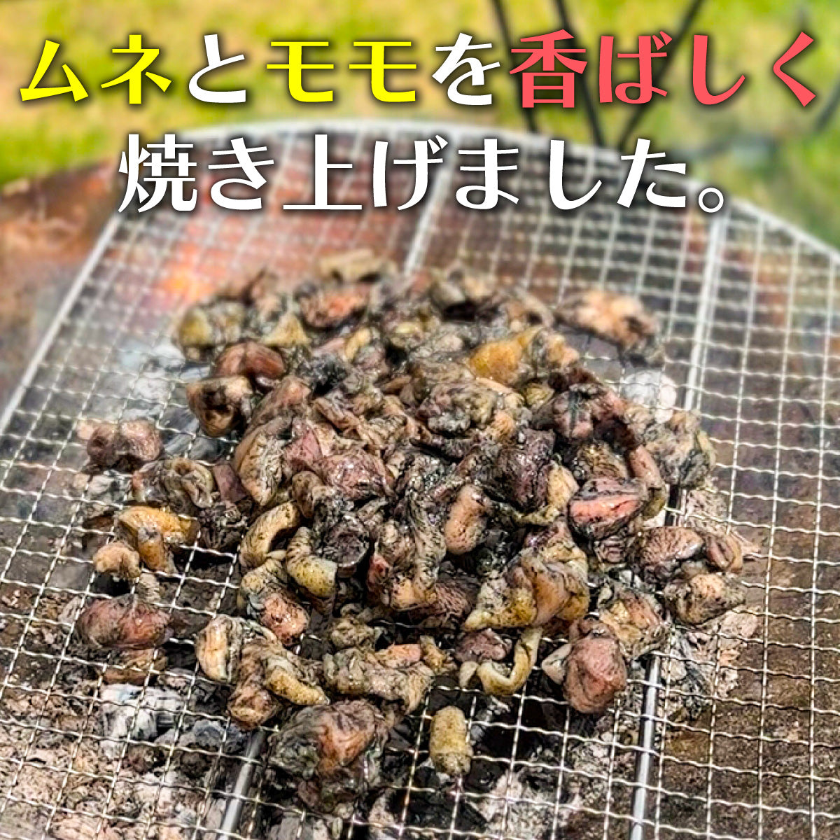 親鳥 炭火焼 500g(100gx5p) 国産 親鳥 冷凍 炭火 鹿児島名物 キャンプ